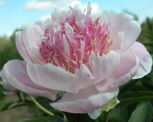 �������� 112 �� 1569